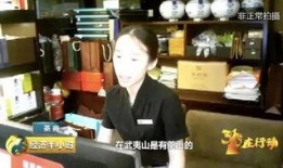 最新茶叶爆料视频,神秘茶叶背后的故事与真相