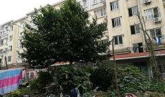 闵行丽园小区爆料案件最新,惊曝邻里纠纷引发惊人案件！