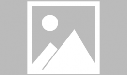 二手车最新爆料信息大全,行情走势、热门车型盘点