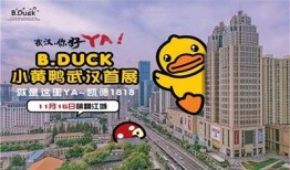 b.duck最新爆料,揭秘娱乐圈最新动态