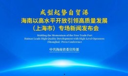 海南最新事件爆料新闻报道,揭秘背后真相，影响深远！