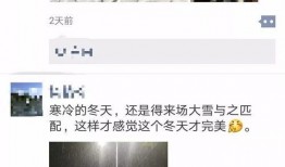 重返未来新爆料最新消息,揭秘未来科技与人类命运新篇章