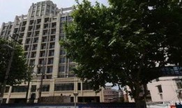 绿洲小区爆料最新消息视频,视频揭露惊人真相！